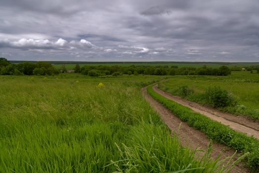 Road in field and stormy clouds 