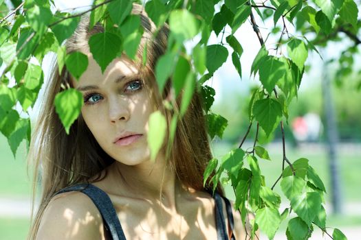 Portrait of the young beautiful woman on a background of leaves of a birch