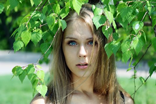 Portrait of the young beautiful woman on a background of leaves of a birch