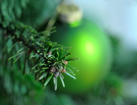 Green Christmas ornament hanging on a pine branch