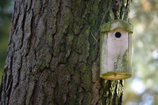 Bird house on a tree