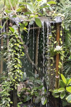 waterfall in tropical garden with green leaves and plants