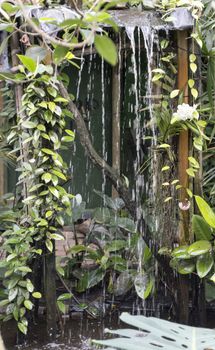 waterfall in tropical garden with green leaves and plants