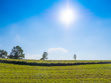 Green grass an blue sky with sun and clouds for background