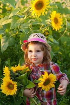 Little girl in a summer hat among sunflowers