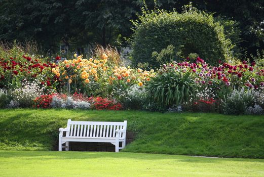 Beautiful photo with Bench on the beautiful garden