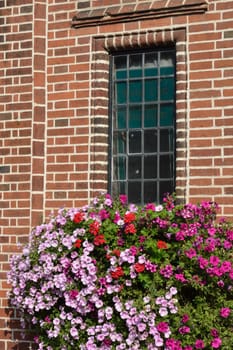 Flowers below window