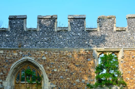 Castle wall with tree and door