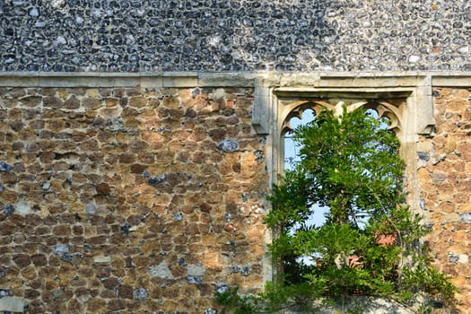 medieval tree and wall