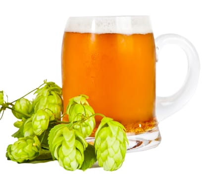 Glass of beer with foam and branch of hop