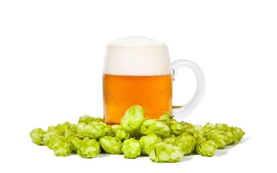 Glass of beer with foam and hop 