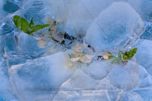 Frozen beautiful      cherry  flower.  blossomsin the ice cube 