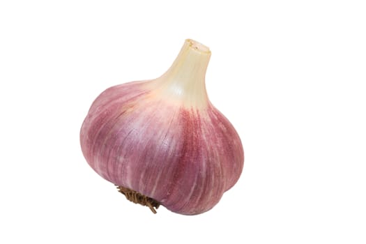 dry garlic isolated on white 