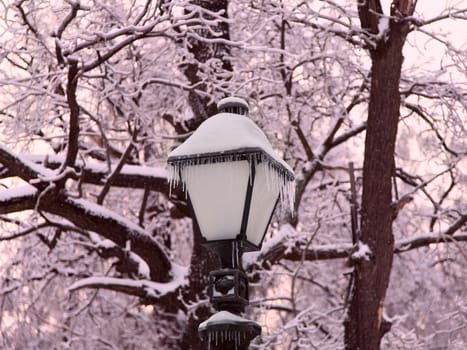 winter park with trees in ise and lantern 