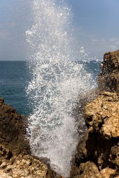  top of nature water fountain in ocean - blow hole, Sri Lanka