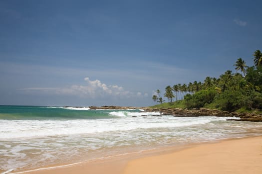  Tropical paradise with trees on beach against blue sky with clouds 