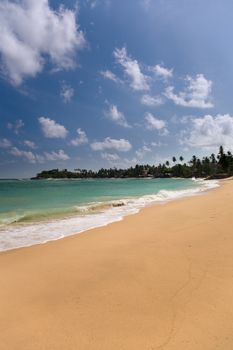 View of tropical beach with house and coconut palm trees , Sri lanka