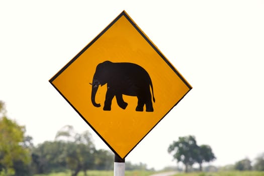 Yellow Elephant wanring sign on the road in Yala nation park, Sri Lanka