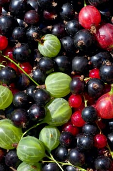 Fresh ripe perfect berrys. Food  Background 