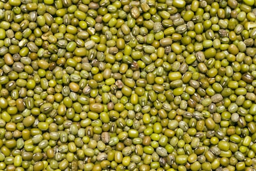  background  of  green mash grains in India