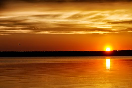 Landscape leisure resort lake beautiful orange sunset