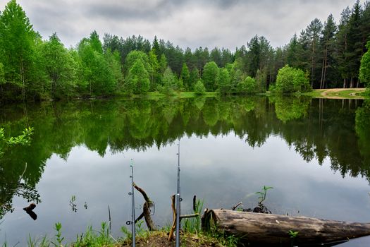 Fishing on the lake in the woods