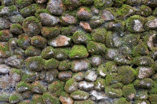 green moss on stone wall