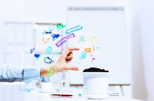 Close-up image of human hand and pot with money tree