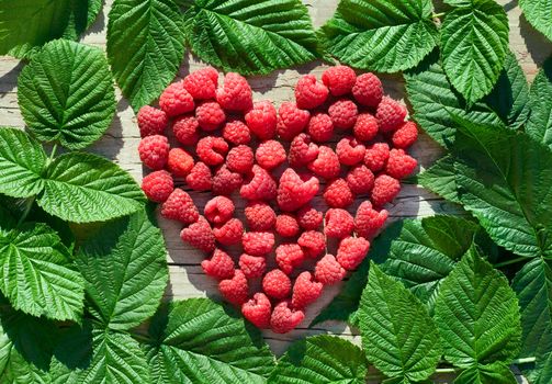 red Raspberry Heart  on green leaves background