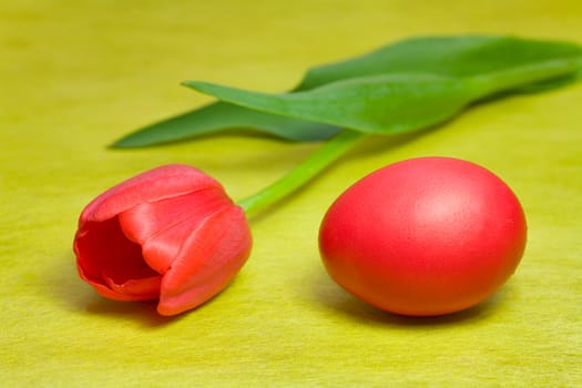 Colorful painted Easter egg and tulip against yellow background 