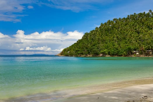 sea and beach with coconut palm on Haad Salat Beach in Koh Pangan, Thailand 