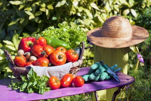 Some vegetables in a basket under the sunlight