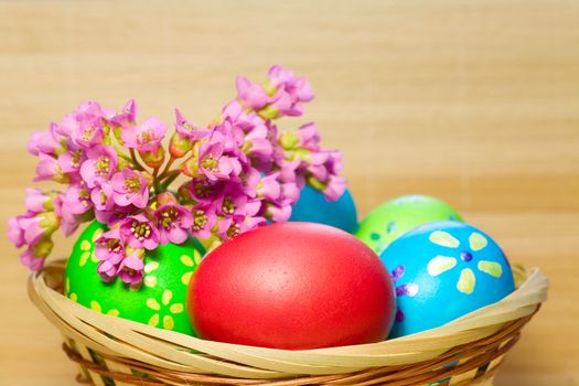 Colored  eggs  with flower of bergenia laying in wood basket