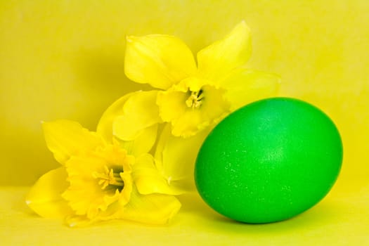 Colorful painted Easter egg and narcissus against yellow background