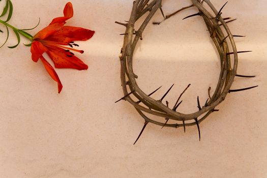 Crown of Thorns and orange Lily on sand background