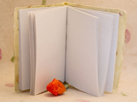 
pad of paper with  empty  page and bud of poppy
