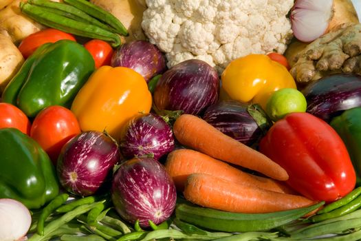 fresh homegrown vegetables on  table in garden  at summer day