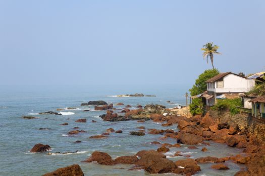 sea and beach with coconut palm  and houses
