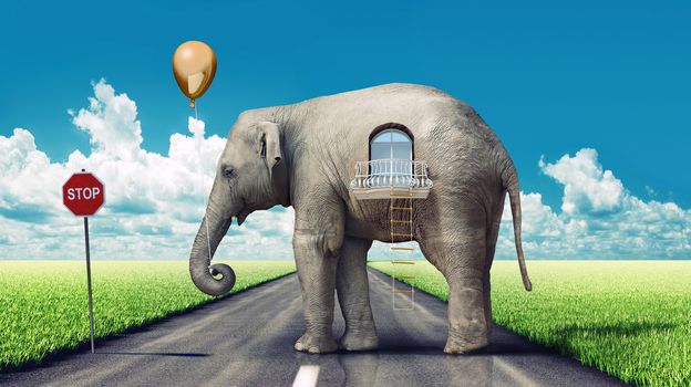 elephant as a house on the road. concept (photo and hand-drawing elements combined).