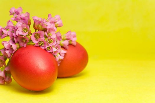Colorful painted Easter eggs and bergenia against yellow background