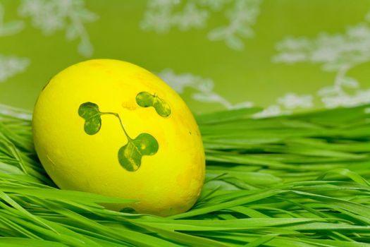 Colorful Painted Easter Egg on green Grass 