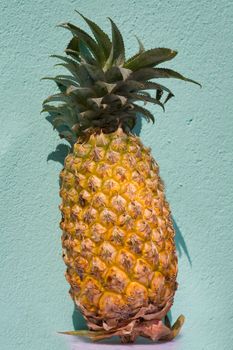 Ripe fresh pineapple against green wall 