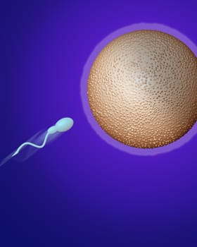 sperm heading towards egg made in 3d software