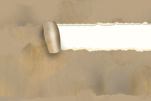 Horizontal  ripped paper for background made in 2d software