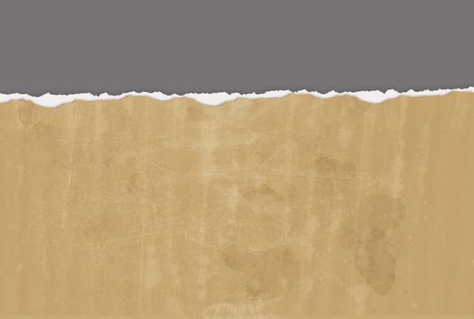 Horizontal  ripped paper for background made in 2d software