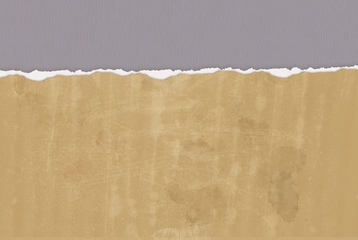 Horizontal  ripped paper for background made in 2d software