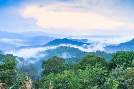 Dramatic clouds with mountain and tree in National Park, Thailand.