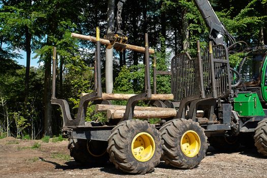 Heavy harvester loader truck doing forestry work in the forest with logs                              