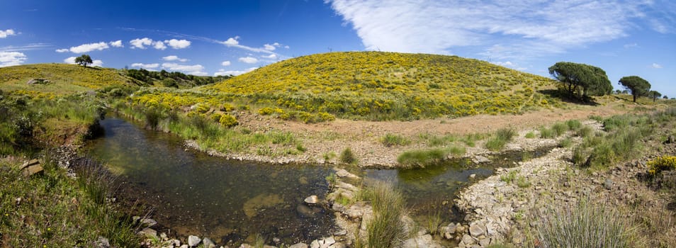 Beautiful spring view of a countryside stream of water located in Portugal.