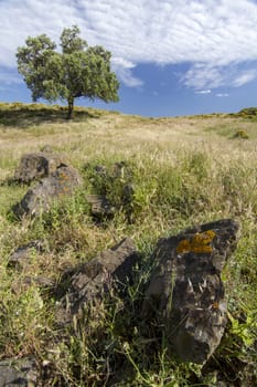 Beautiful view of the rural countryside of the Algarve region.